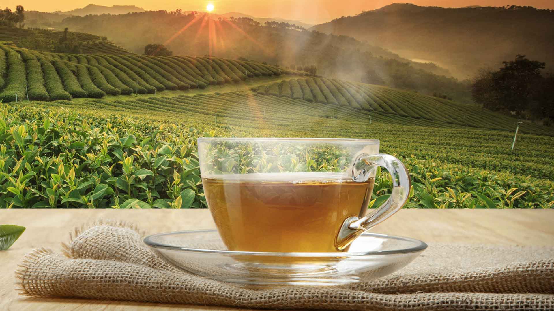 Tè arcobaleno: in Bangladesh alla scoperta del tè dai 7 colori